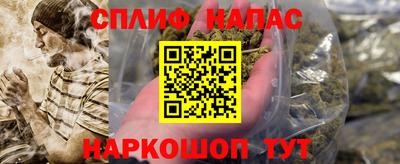 индика Кандалакша