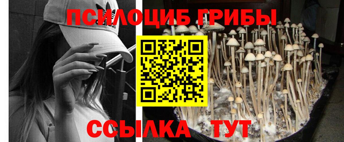 Галлюциногенные грибы ЛСД  Вход с VPN  Грязи  Псилоцибиновые грибы мицелий 